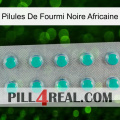 African Black Ant Pills 28